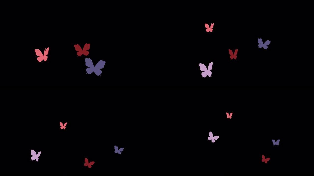 美丽的蝴蝶飞翔，无缝循环动画