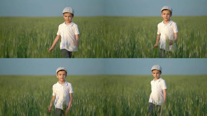 地里的暑假。儿子漫不经心地走在田野里享受着新鲜的空气。自由概念。
