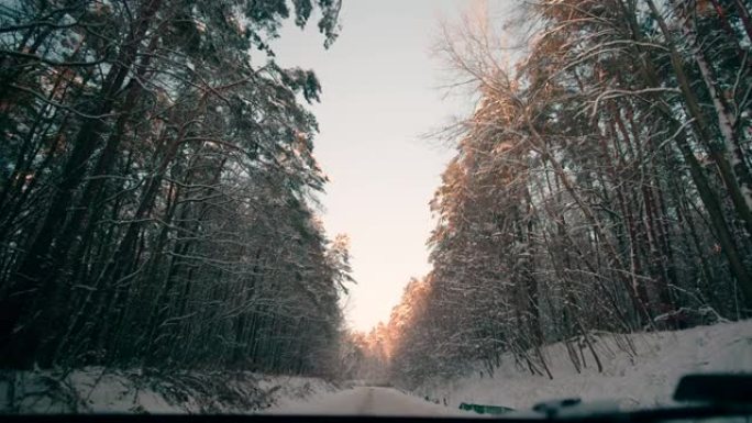 森林POV的冬季雪路