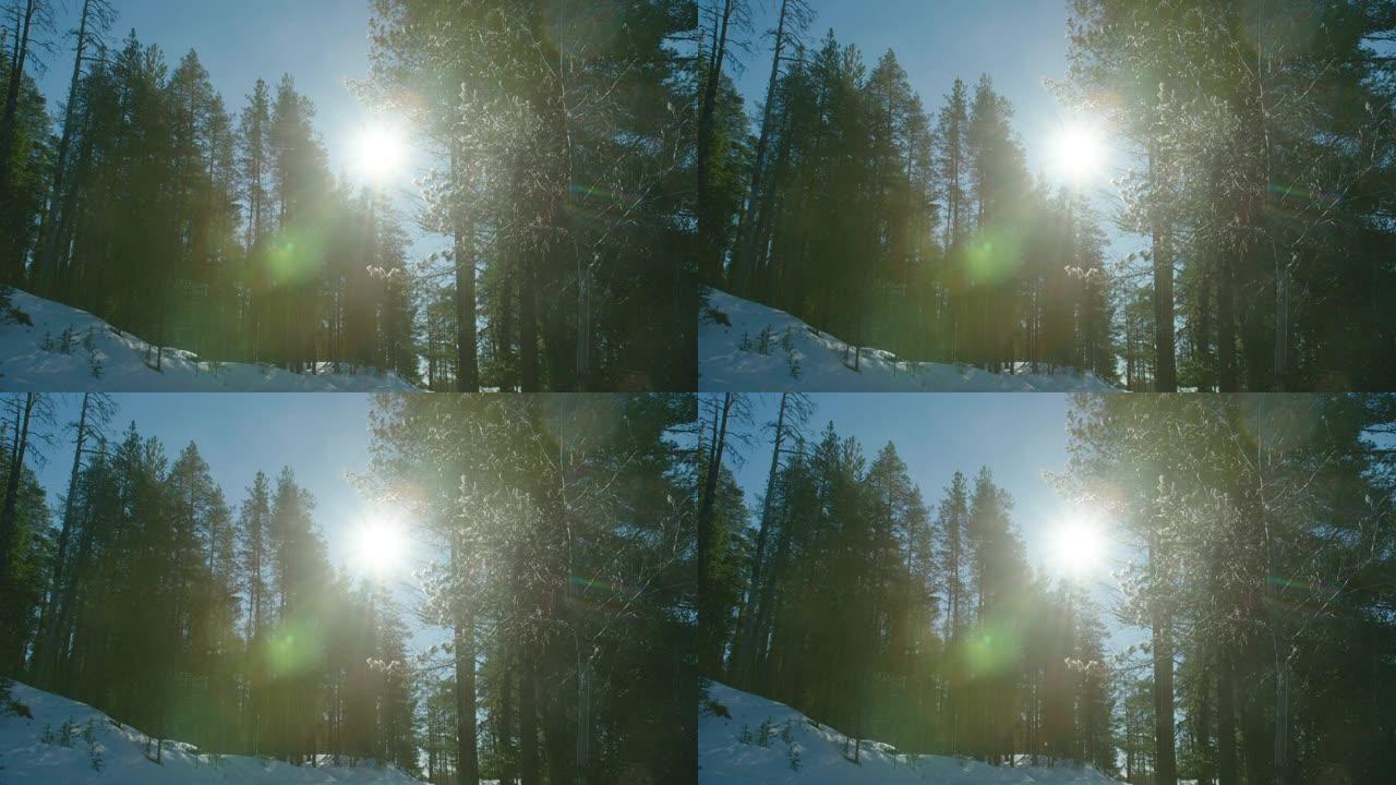 当雪从树枝上融化时，神奇的电影大镜头