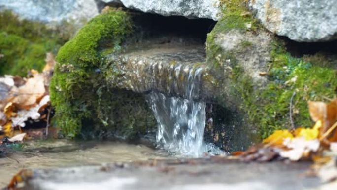 冷清的泉水从长满绿色苔藓的地下矿泉流出
