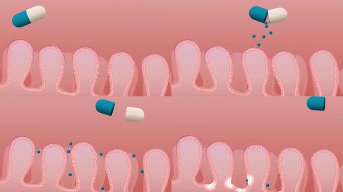 药物的肠道吸收广告胶囊药瓶