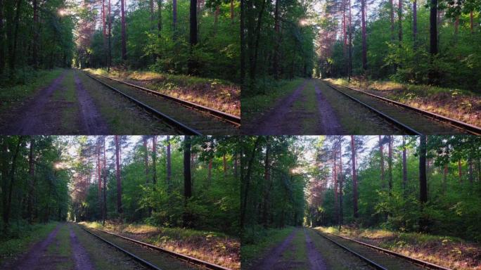 铁路轨道视图。被森林包围的铁路路轨和路堤。铁路