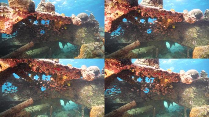 库拉索岛周围加勒比海珊瑚礁的绿松石水中带有拖船残骸，珊瑚和海绵的海景
