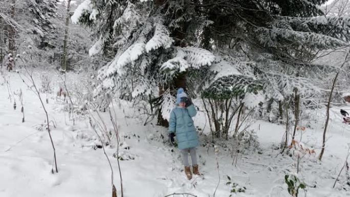 一个十几岁的女孩站在云杉树下，摇晃着被雪覆盖的树枝。