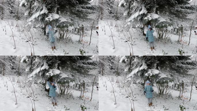 一个十几岁的女孩站在云杉树下，摇晃着被雪覆盖的树枝。