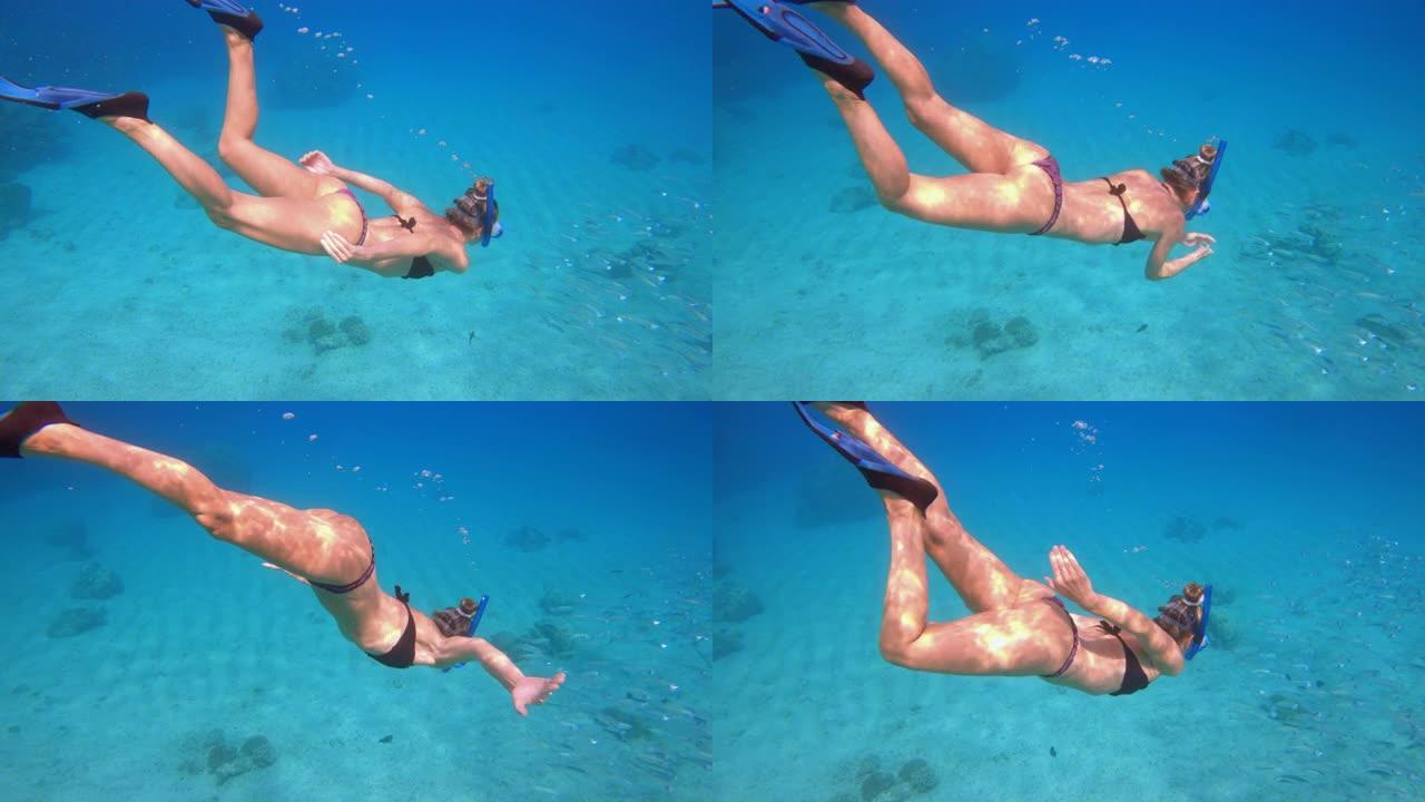 慢动作: 年轻女子在度假时浮潜。女性享受浮潜之旅潜水水下探索五颜六色的珊瑚礁