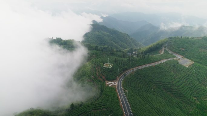 杭州富阳安顶山富春江茶园云雾航拍