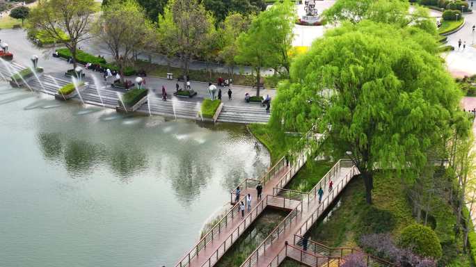 郑州植物园春天航拍1