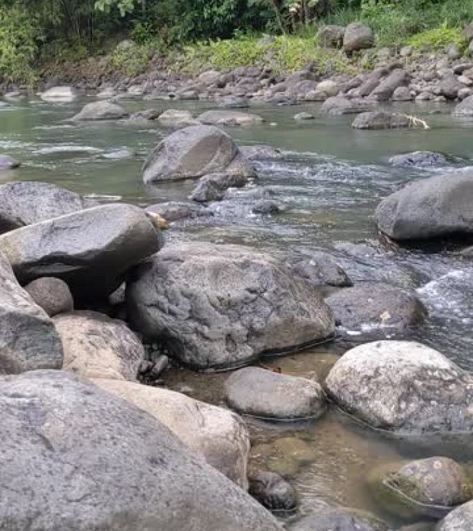 洛基河中的水流