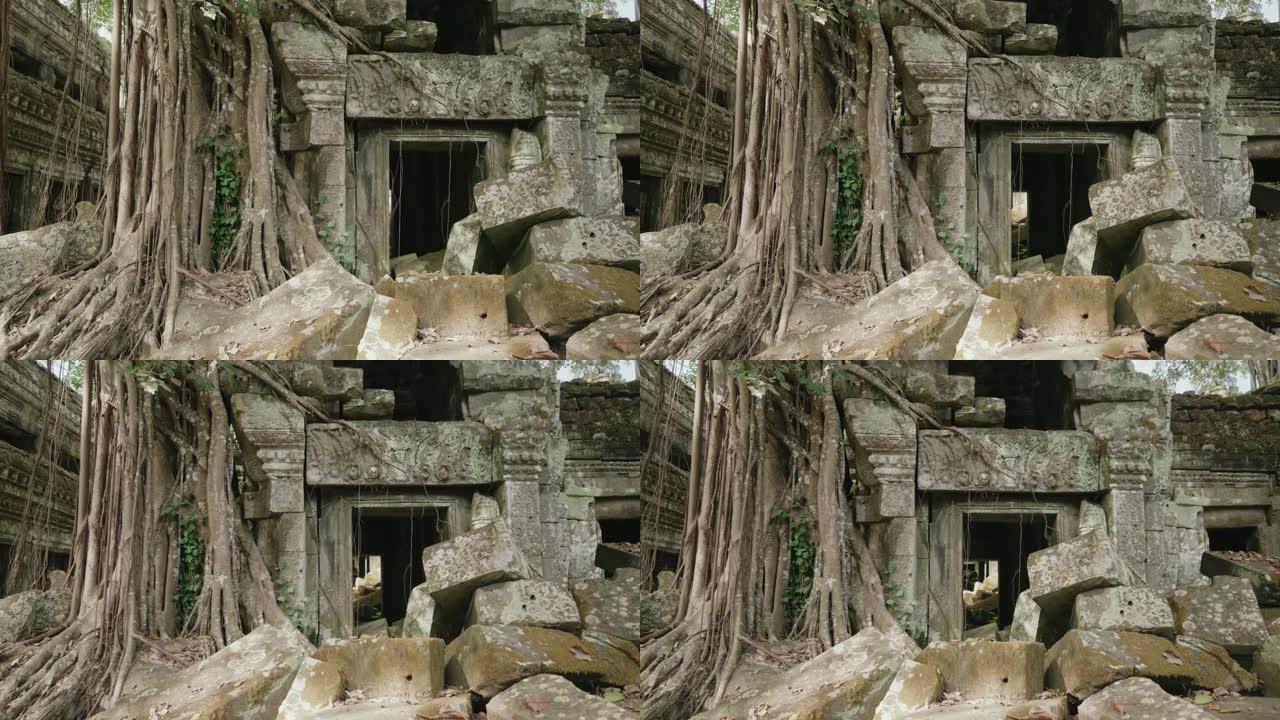 吴哥考古公园的塔普伦寺巴戎风格-石头上的树根，探查墙壁和露台