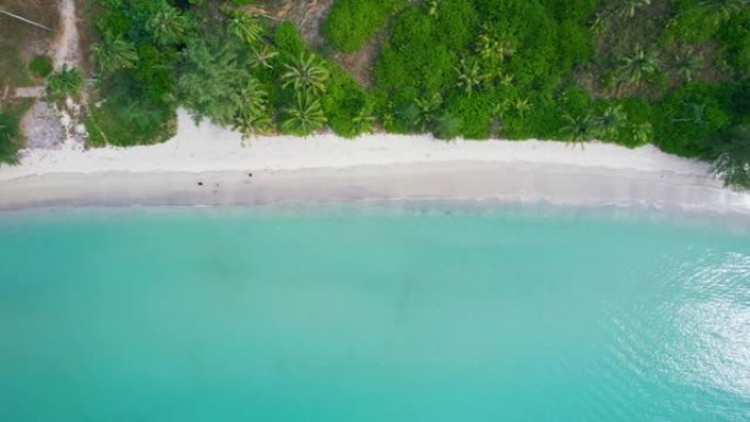 美丽的绿松石海和沙滩上的波浪在热带岛屿上阳光明媚的棕榈林