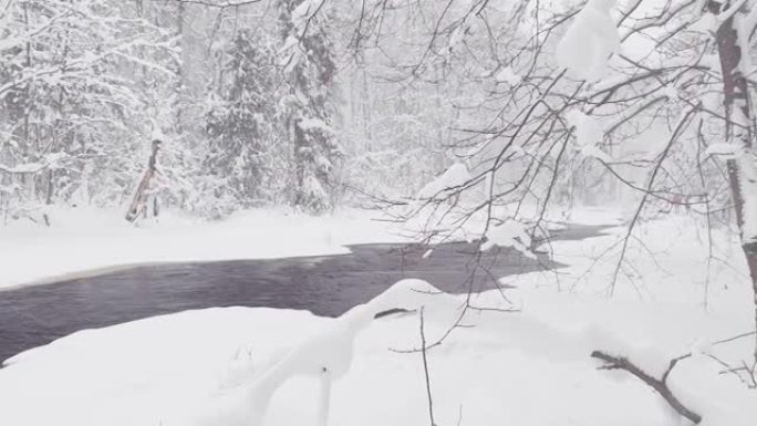 雪灾下的冬天森林里的野生冰冻小河，狂野的大自然，冰雪覆盖的树，和平与宁静