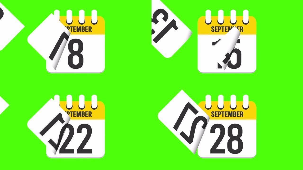 9月28日。日历出现，页面下降到9月28日。绿色背景，色度键 (4k循环)