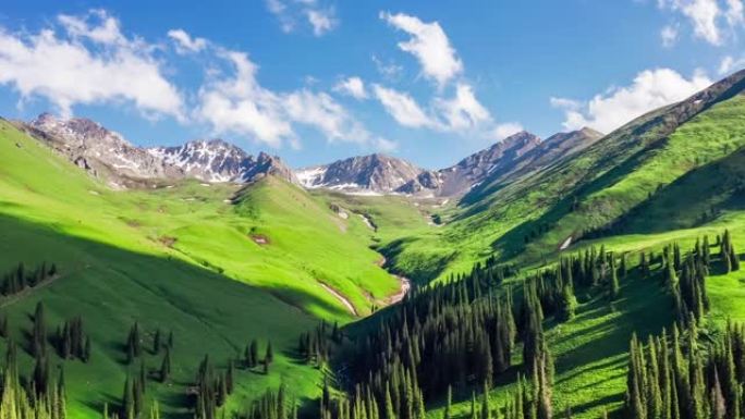 新疆绿色草原和夏山的航拍画面
