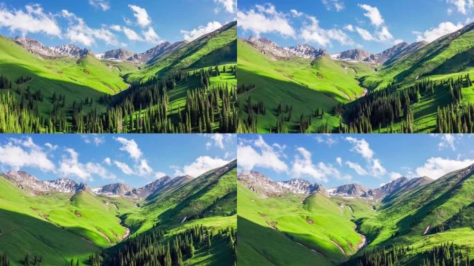 新疆绿色草原和夏山的航拍画面