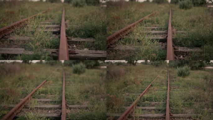 草地上一条废弃的旧铁路。