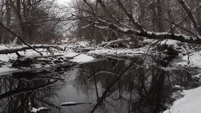 黄昏时平静的冬季河流风景，有许多倒下的树木和原木堵塞