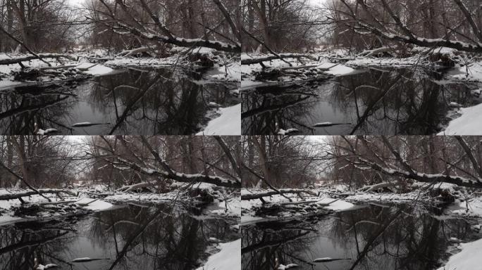 黄昏时平静的冬季河流风景，有许多倒下的树木和原木堵塞
