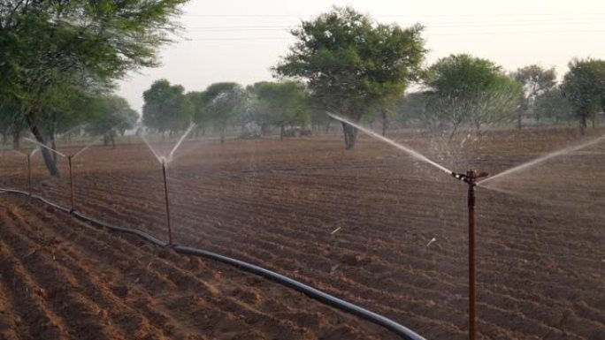 现代灌溉系统。在非常炎热的天气里向农业领域喷水。