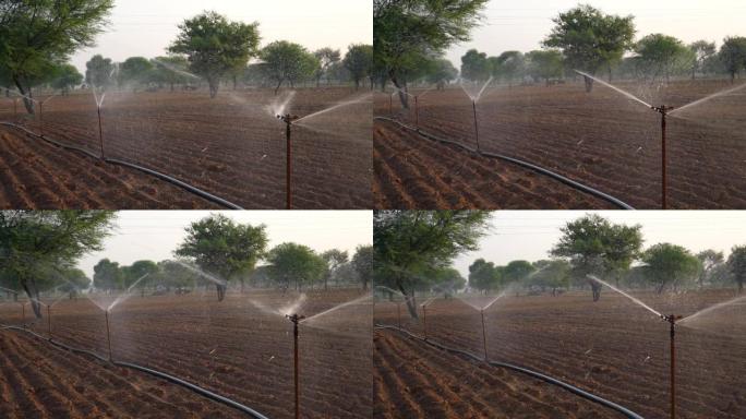 现代灌溉系统。在非常炎热的天气里向农业领域喷水。