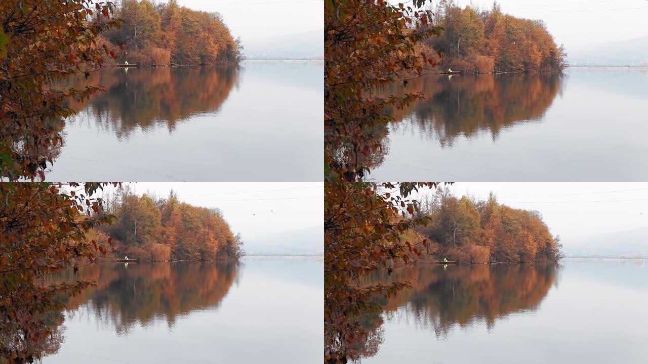 鸟儿在森林中平静的湖上飞过秋天树木的倒影