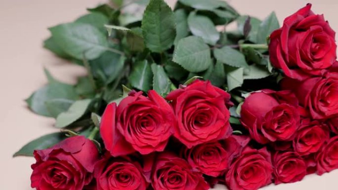 一束红玫瑰落在桌子上。鲜花散落。玫瑰花蕾上的水滴。在绿叶的背景下。情人节