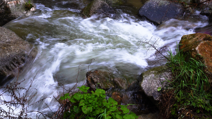 水  水资源 小溪  山泉水