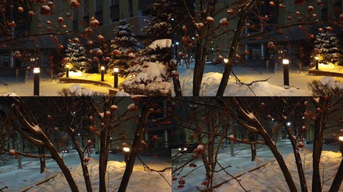 街景雪照明