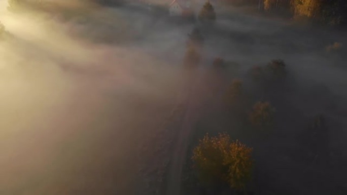 鸟瞰图。薄雾笼罩的乡村的日出。神奇的雾到地平线。史诗般的惊人的自然景观。日出时雾蒙蒙的五颜六色的树木