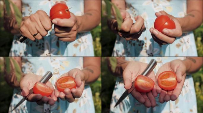番茄。雌性双手握住番茄，将其切成两块。特写