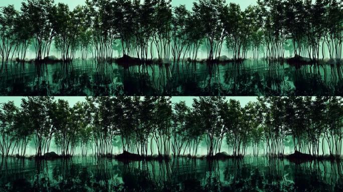 3D动画中的植物和水