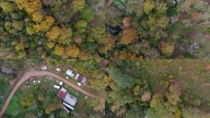 南卡罗莱纳州的秋季景观从高处显示了美国小镇小镇附近的森林边缘