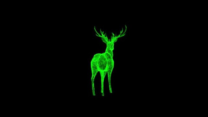 3D鹿在黑色背景上旋转。物体溶解绿色闪烁粒子60 FPS。科学概念。标题、演示文稿的抽象bg。全息屏