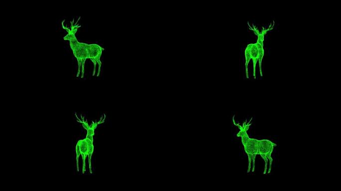 3D鹿在黑色背景上旋转。物体溶解绿色闪烁粒子60 FPS。科学概念。标题、演示文稿的抽象bg。全息屏