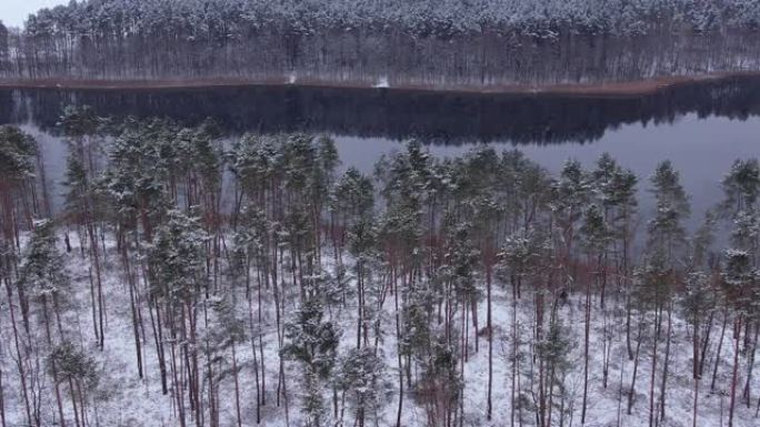 鸟瞰树梢覆盖在森林冬日的湖面积雪平静。宁静的自然，新鲜的空气，干净的蓝色水。在美丽安静的冬季湖上飞越