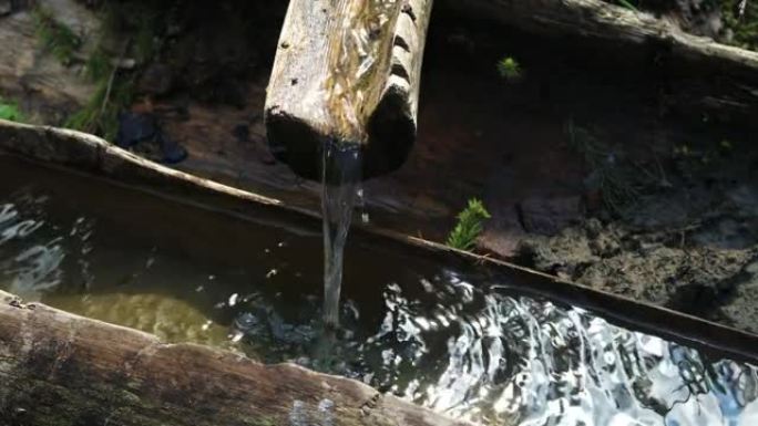 木制饮用自然喷泉。秋季森林溪流中新鲜清澈寒冷的山水。地球生态学