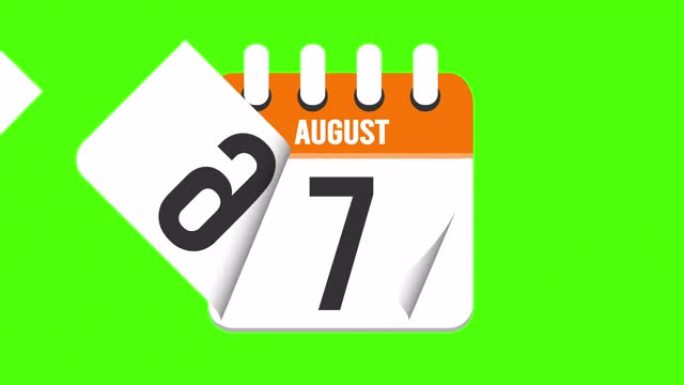 8月9日。日历出现，页面下降到8月9日。绿色背景，色度键 (4k循环)