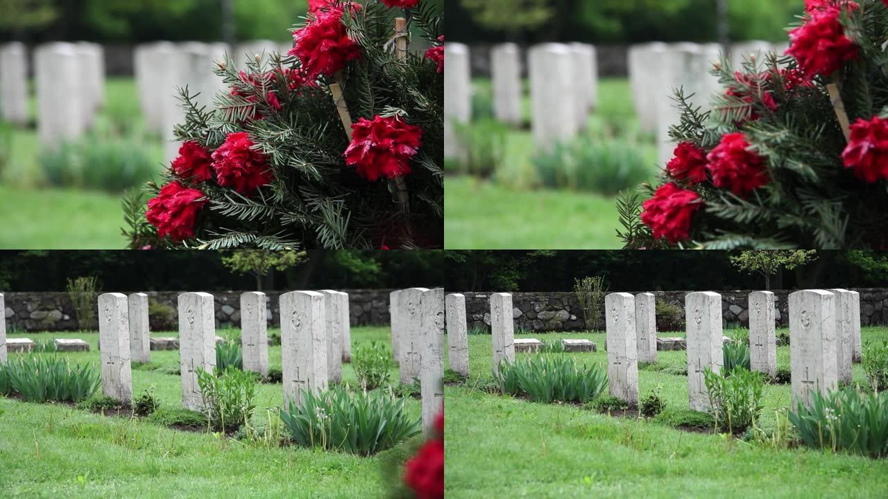 以红色康乃馨纪念死者的冷杉树冠分支。男人的十字架，在战争中死去的英雄。墓园墓碑一览图2