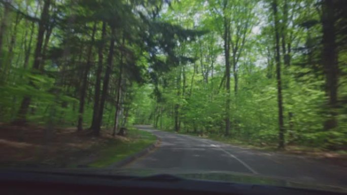 驾驶林道