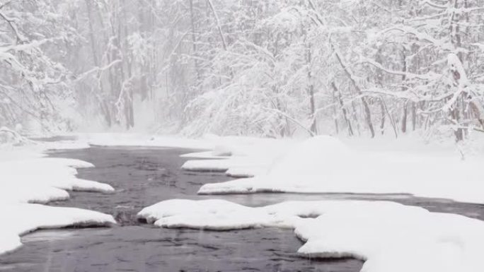 雪灾下的冬天森林里的野生冰冻小河，狂野的大自然，冰雪覆盖的树，和平与宁静