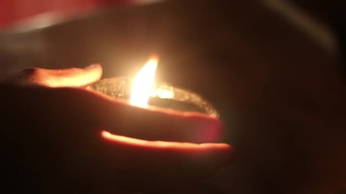 乡村生活和家畜