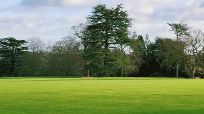 英国乡村风景的美丽自然，英国阳光明媚的日子里的绿色草坪和树木
