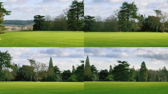英国乡村风景的美丽自然，英国阳光明媚的日子里的绿色草坪和树木