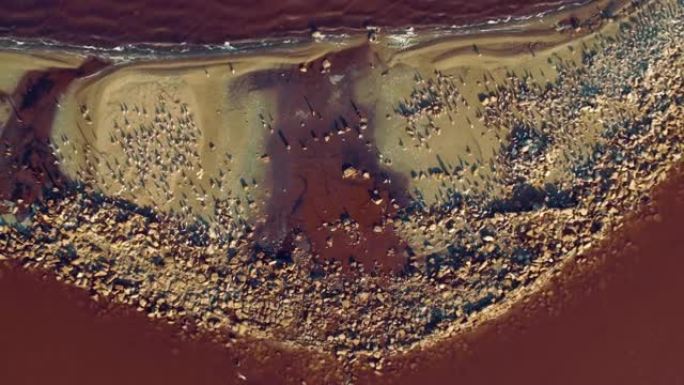 无人机在粉红色的水面上观察盐岛。俯视图盐海岸线鸟类