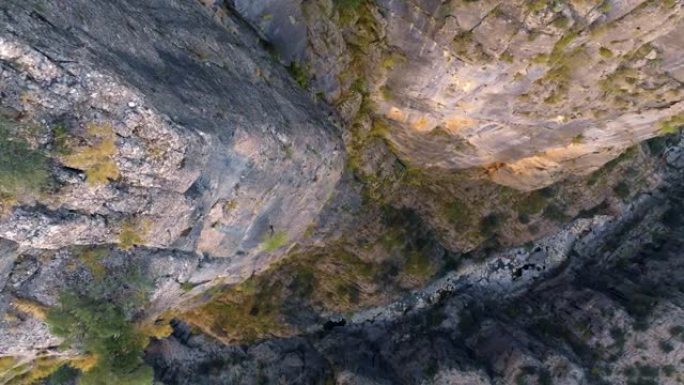 山间河流的俯视图。多岩石的海岸。无人机拍摄的视频。岩石上的绿色灌木。从悬崖上掉下来