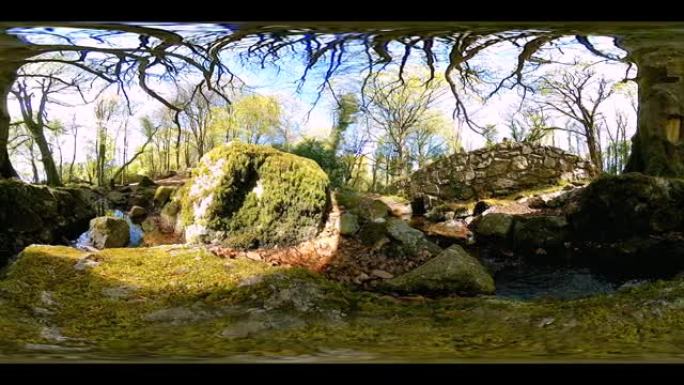 360度的虚拟现实体验，在溪流和人造石桥旁的森林深处拥有一分钟的宁静