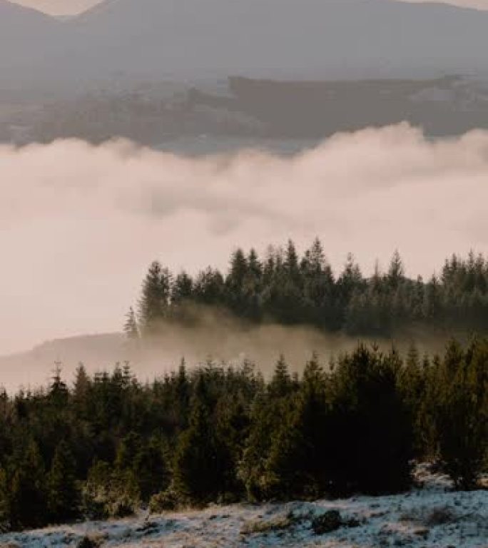 苏格兰高地被云彩覆盖的森林