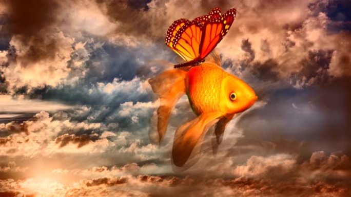 超现实的想象。金鱼和蝴蝶