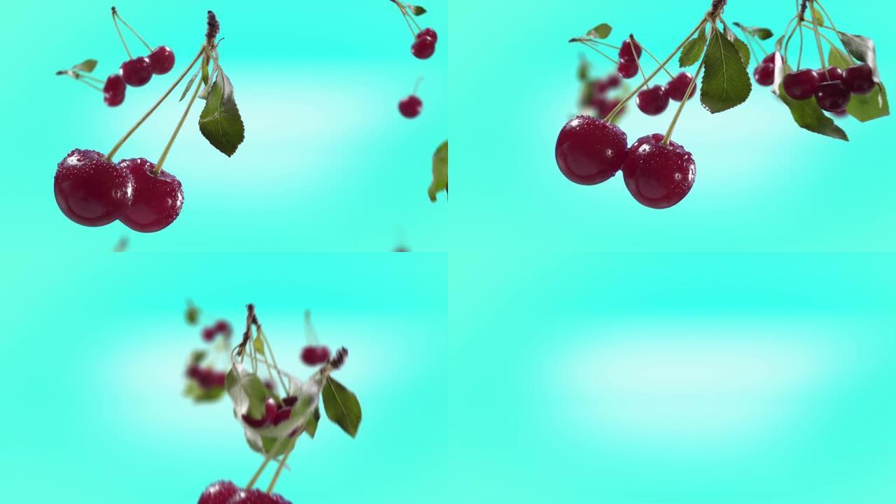 冰蓝色蓝绿色背景的飞行樱桃和樱桃束